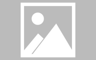 洛阳新区景区网站建设（in art criticism,you must assume）